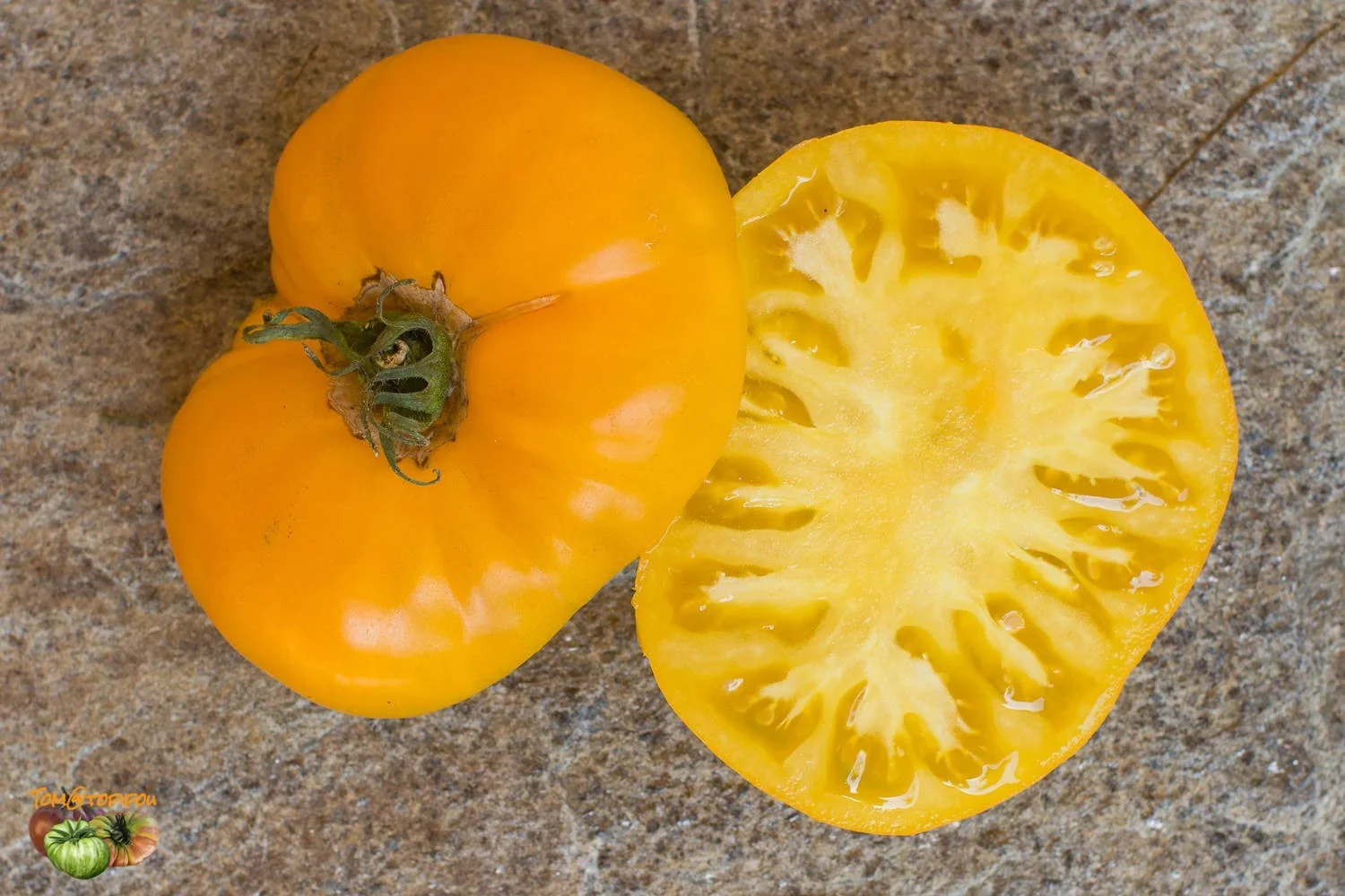Azoychka - Heirloom Tomato Seeding Image