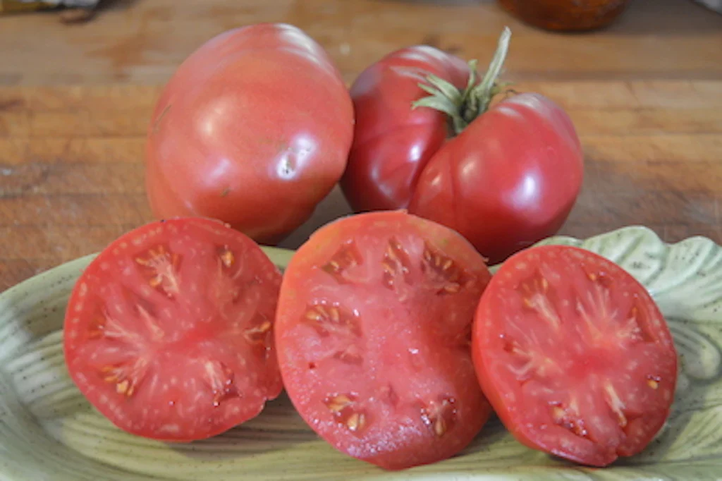 German Johnson - Heirloom Tomato Seeding Image