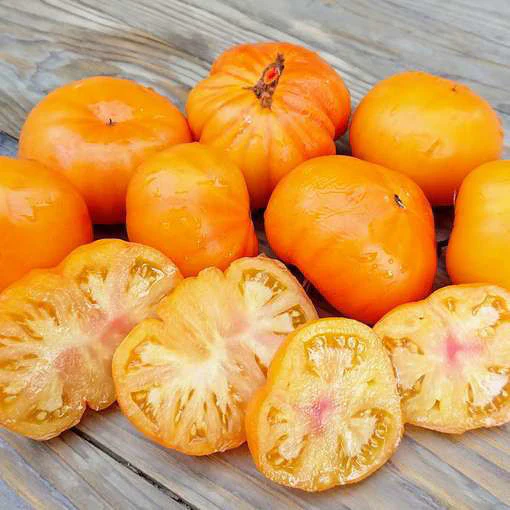 Azoychka - Heirloom Tomato Seeding