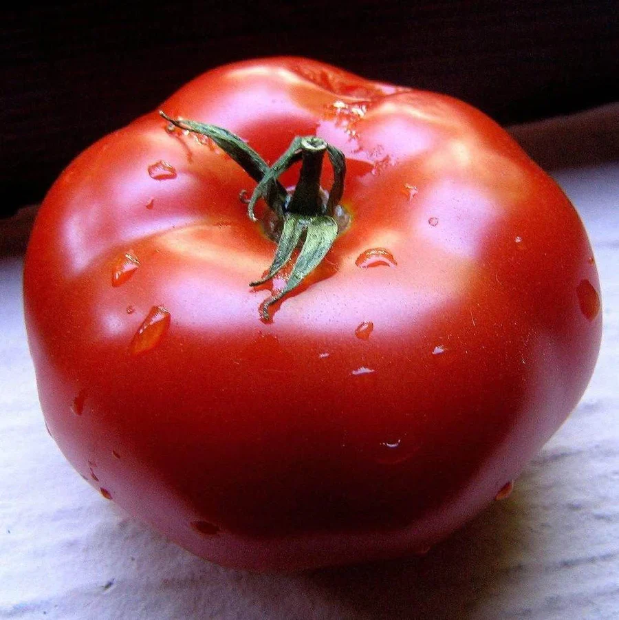 Burnley Bounty - Heirloom Tomato Seeding Image