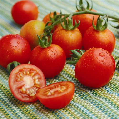 Tomato - Tommy Toe Seeds Image