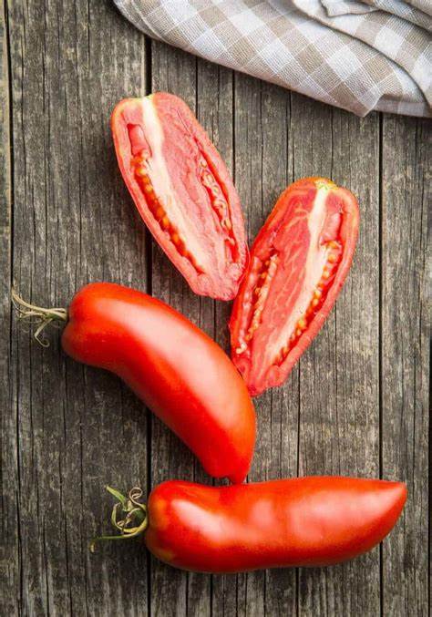 San Marzano - Heirloom Tomato Seeding Image