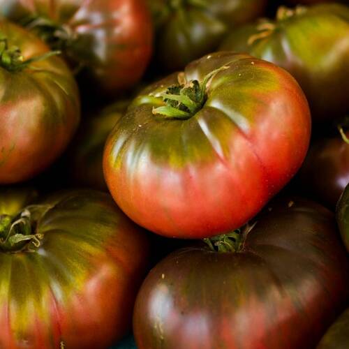 Cherokee Purple - Heirloom Tomato Seeding