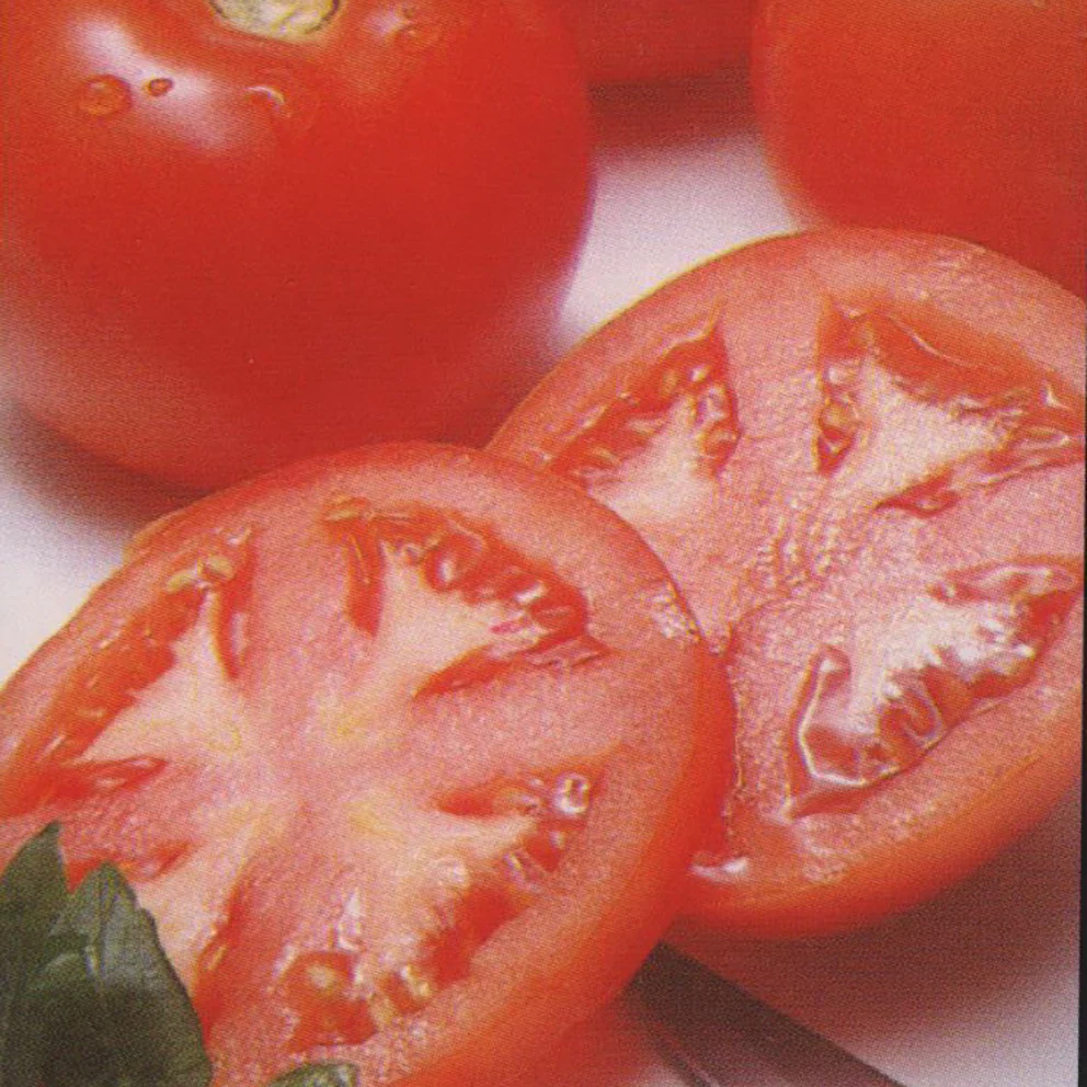 Grosse Lisse - Heirloom Tomato Seeding Image
