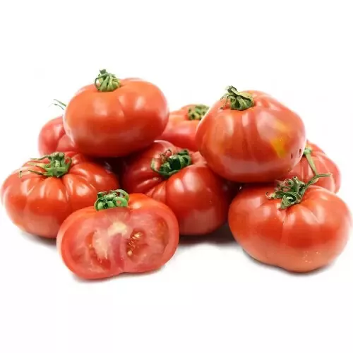 Rouge De Marmande - Heirloom Tomato Seedlings Image