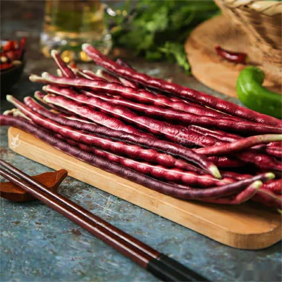 DWARF Snake Bean (Bush) Burgundy - Heirloom Seeds - Long Bean