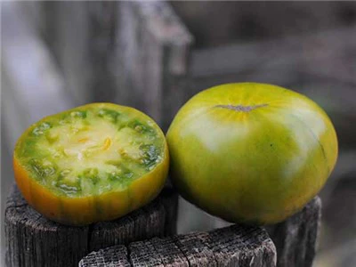 Malakhitovaya Shkatulka - Heirloom Tomato Seeding Image