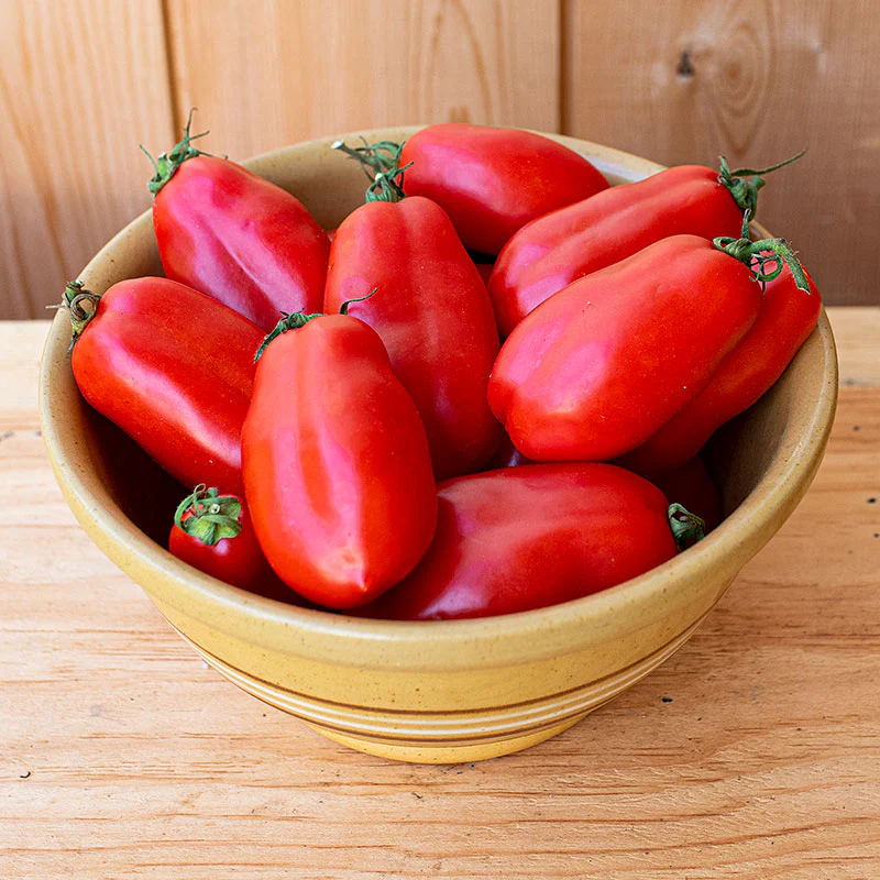 San Marzano - Heirloom Tomato Seeding
