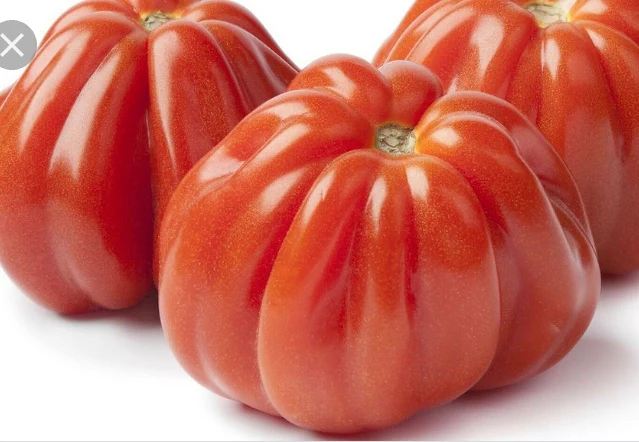 Granny Throwing - Heirloom Tomato Seeding Image