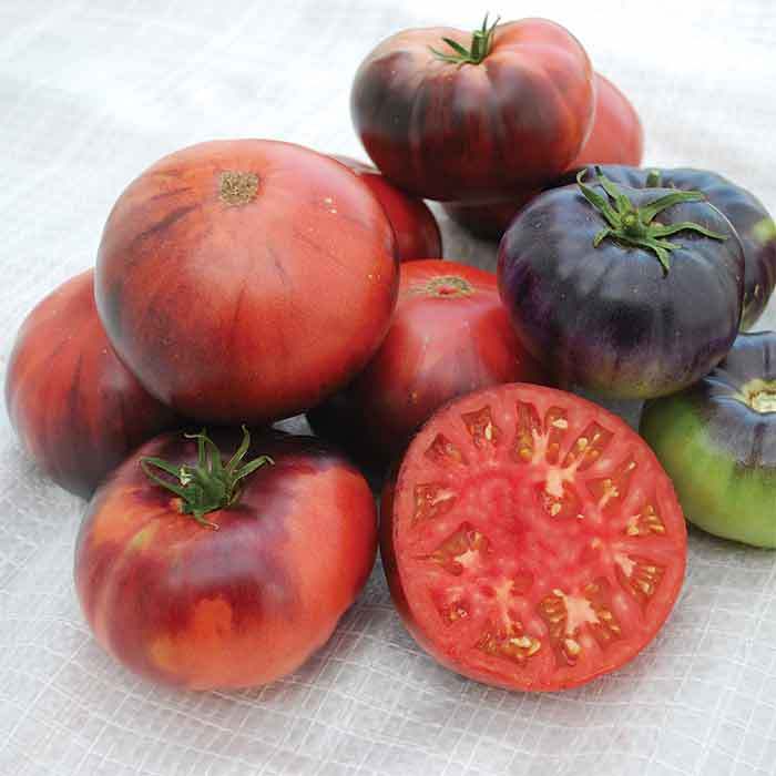 Blue Beauty - Heirloom Tomato Seeding Image