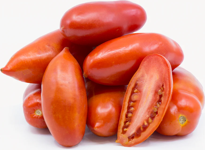 San Marzano - Heirloom Tomato Seeding Image