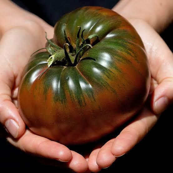 Tomato - Black Krim seeds Image