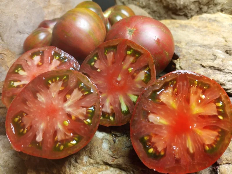 Adelaide - Heirloom Tomato Seeding Image