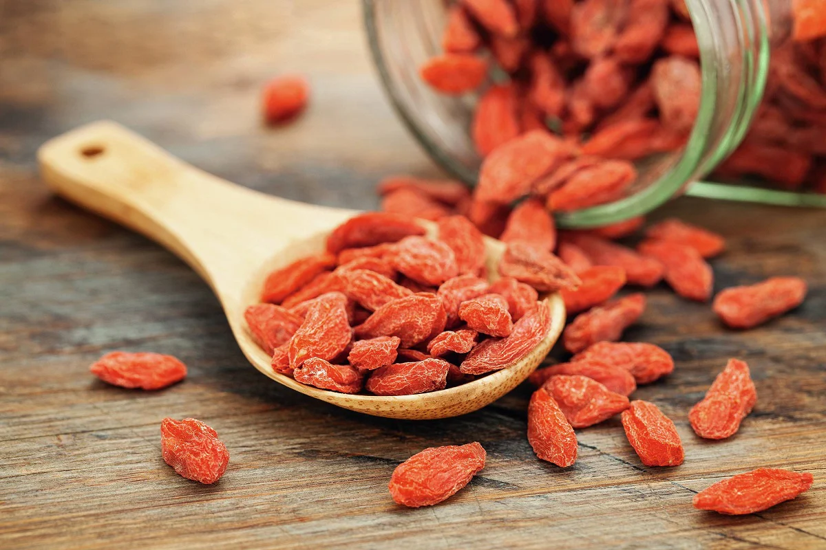 Goji Berry Plant Image