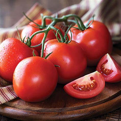 Money Maker - Heirloom Tomato Seeding Image